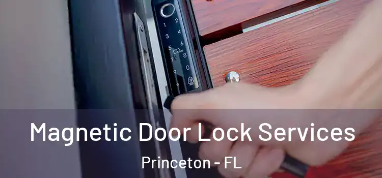  Magnetic Door Lock Services Princeton - FL