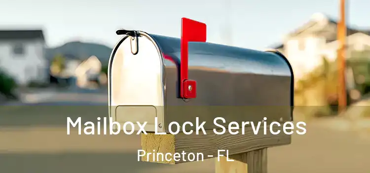 Mailbox Lock Services Princeton - FL