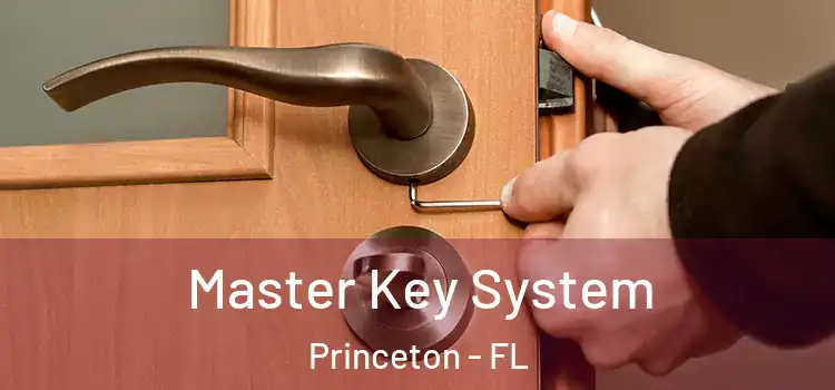 Master Key System Princeton - FL