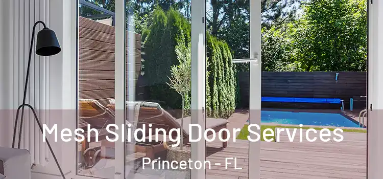 Mesh Sliding Door Services Princeton - FL