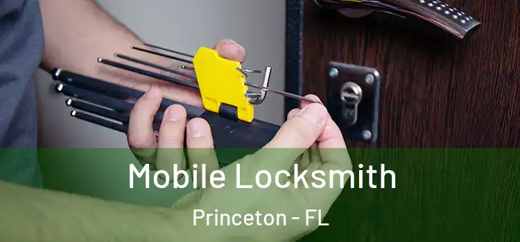 Mobile Locksmith Princeton - FL