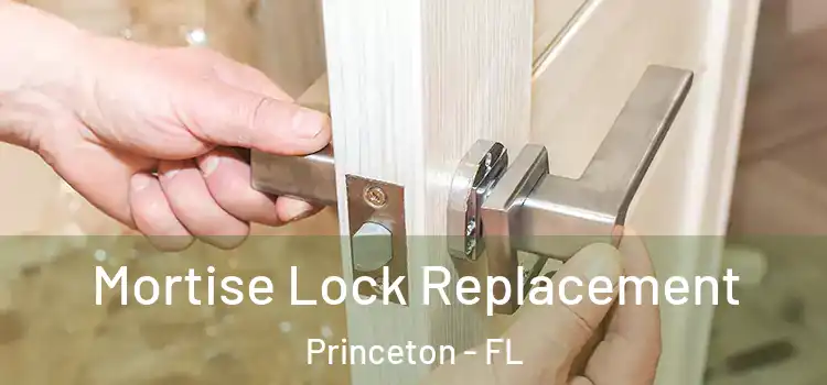 Mortise Lock Replacement Princeton - FL