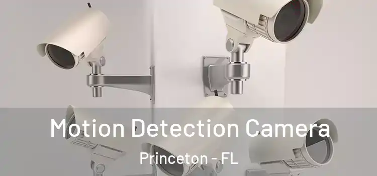  Motion Detection Camera Princeton - FL