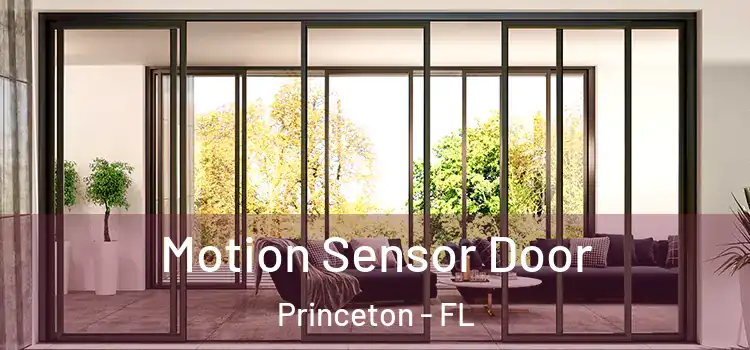 Motion Sensor Door Princeton - FL