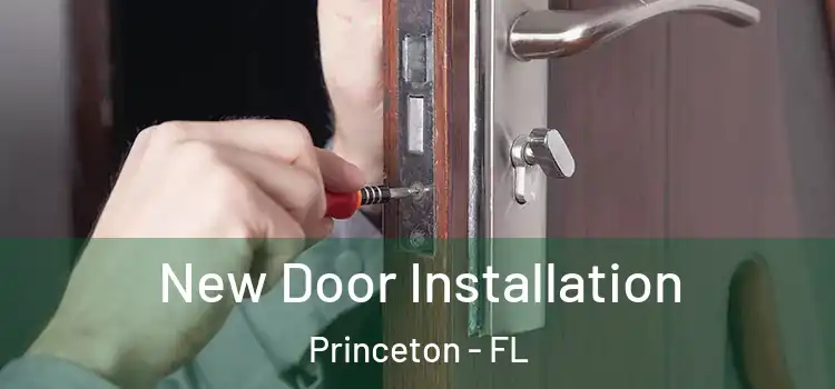 New Door Installation Princeton - FL