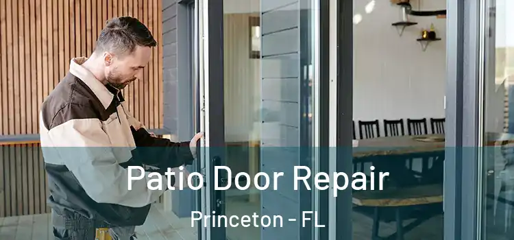 Patio Door Repair Princeton - FL