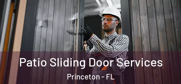 Patio Sliding Door Services Princeton - FL