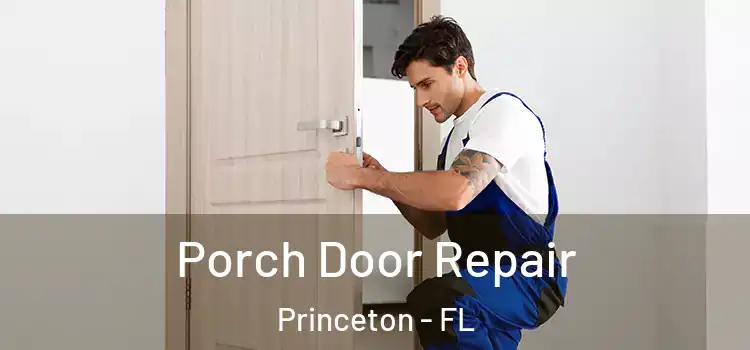  Porch Door Repair Princeton - FL