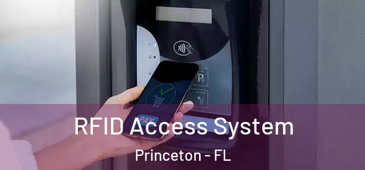 RFID Access System Princeton - FL