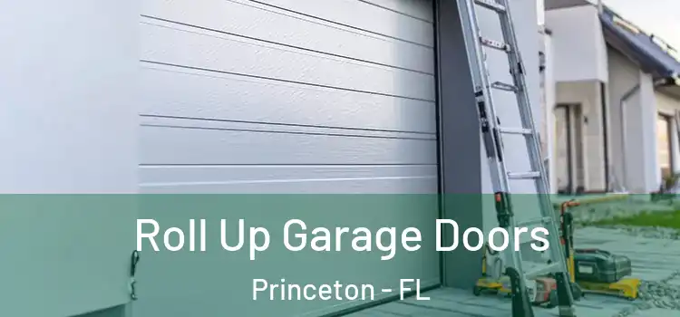  Roll Up Garage Doors Princeton - FL