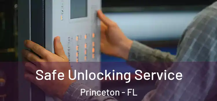 Safe Unlocking Service Princeton - FL