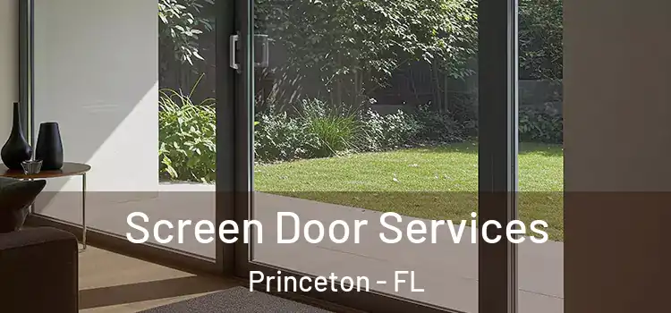Screen Door Services Princeton - FL