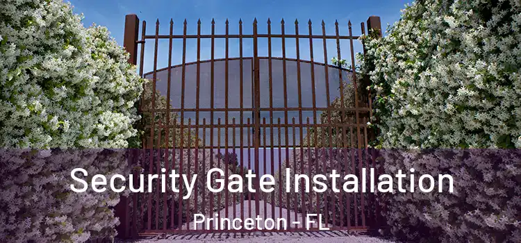 Security Gate Installation Princeton - FL