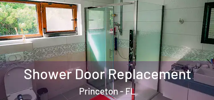 Shower Door Replacement Princeton - FL
