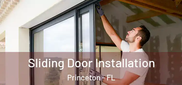 Sliding Door Installation Princeton - FL