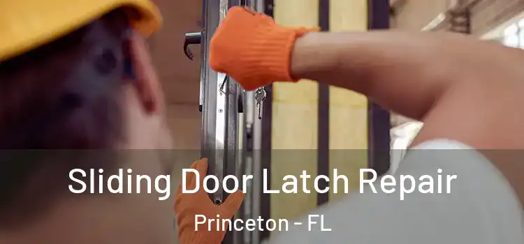Sliding Door Latch Repair Princeton - FL