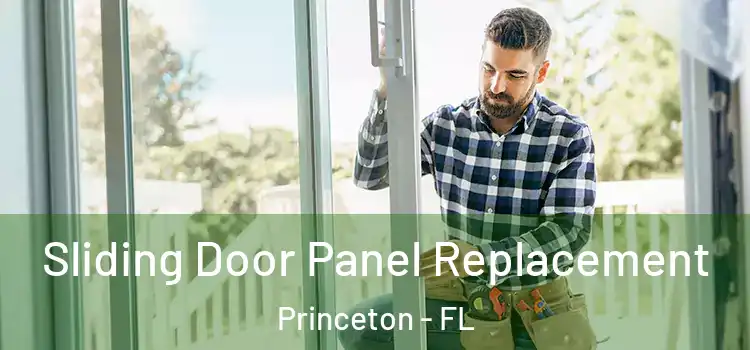  Sliding Door Panel Replacement Princeton - FL