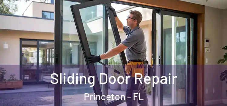 Sliding Door Repair Princeton - FL