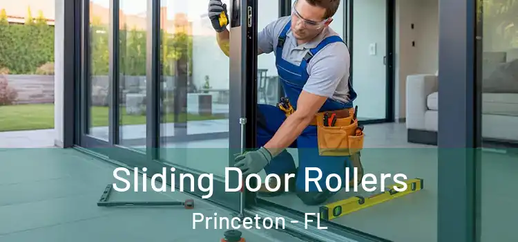Sliding Door Rollers Princeton - FL