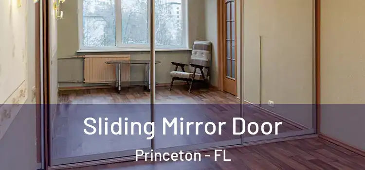  Sliding Mirror Door Princeton - FL