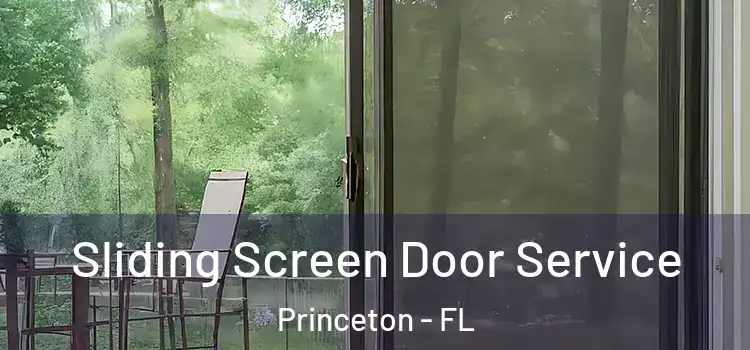 Sliding Screen Door Service Princeton - FL