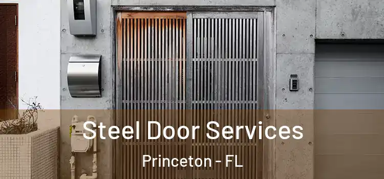 Steel Door Services Princeton - FL