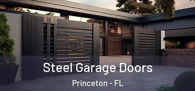 Steel Garage Doors Princeton - FL