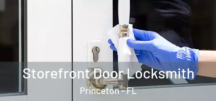 Storefront Door Locksmith Princeton - FL