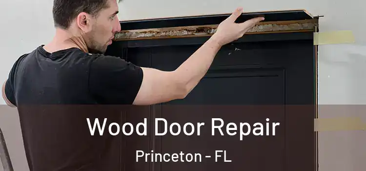 Wood Door Repair Princeton - FL